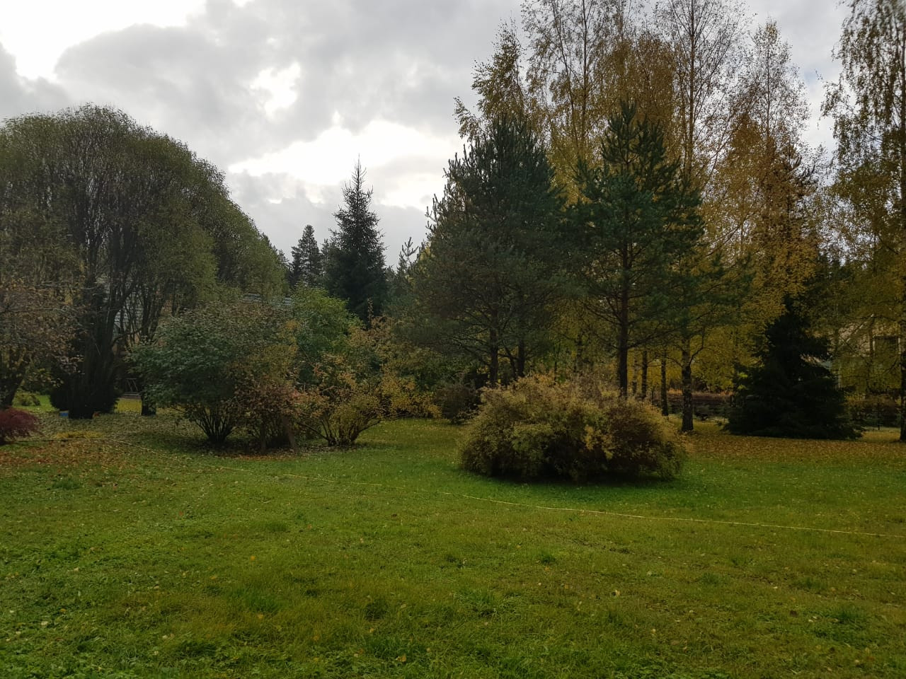 Сады по моим проектам.