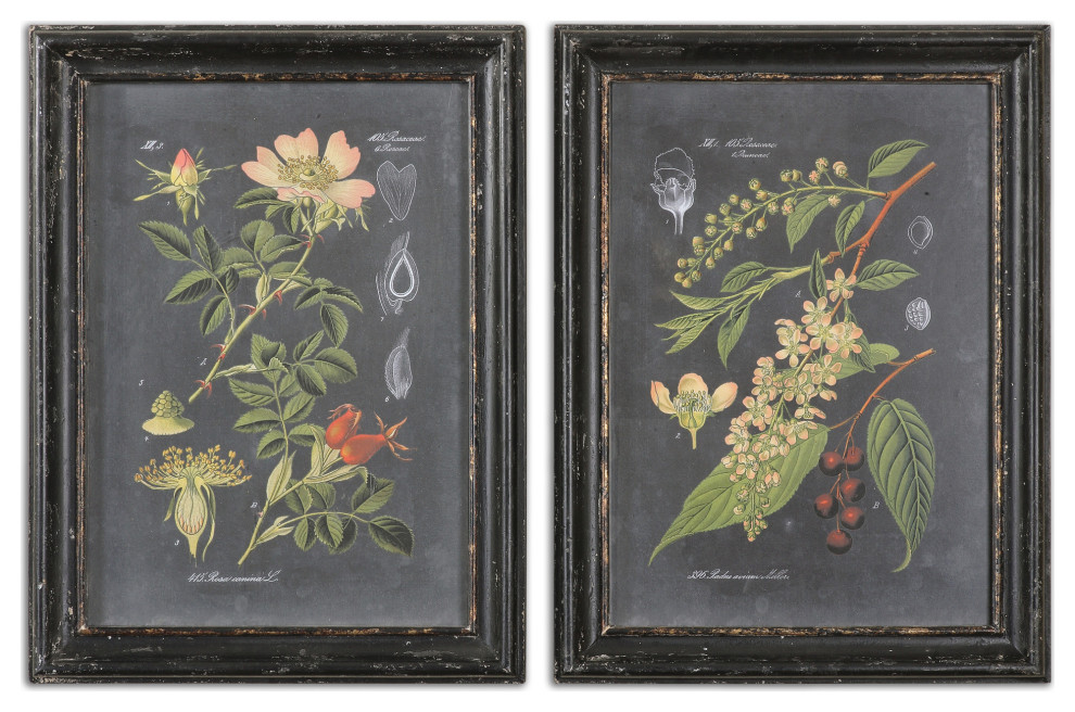 Uttermost "Midnight Botanicals" 2-Piece Wall Art Set, 24.63"x32.63"