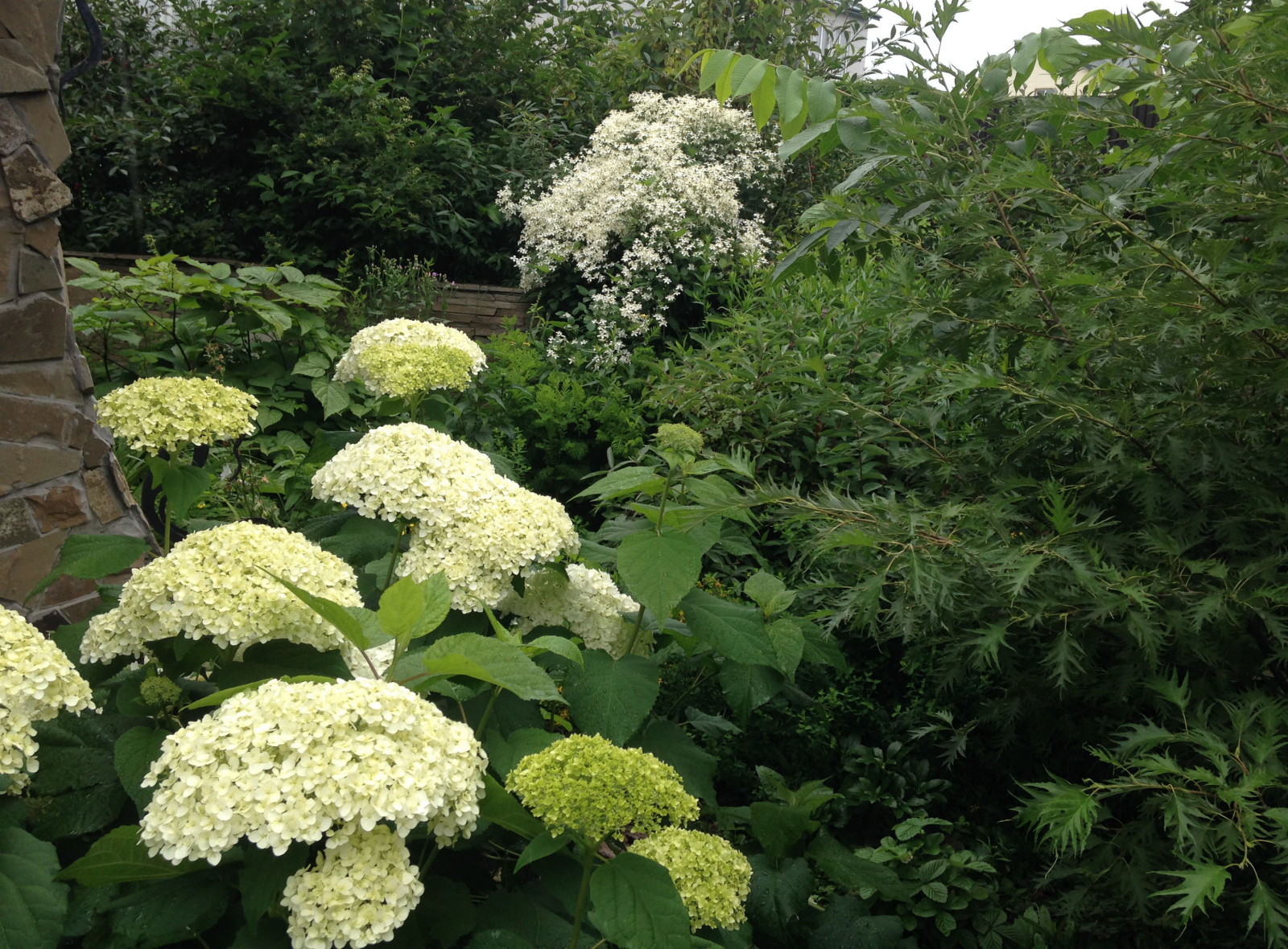 Городской сад