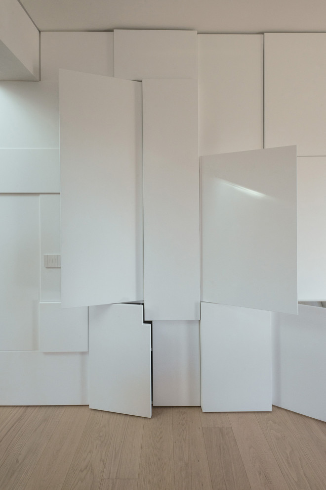 Idee per un ingresso minimalista di medie dimensioni con pareti bianche, parquet chiaro, una porta singola, una porta bianca e armadio