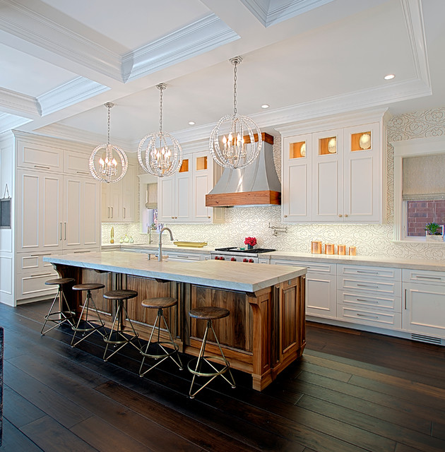 Chicago Kitchen Renovation transitional-kitchen