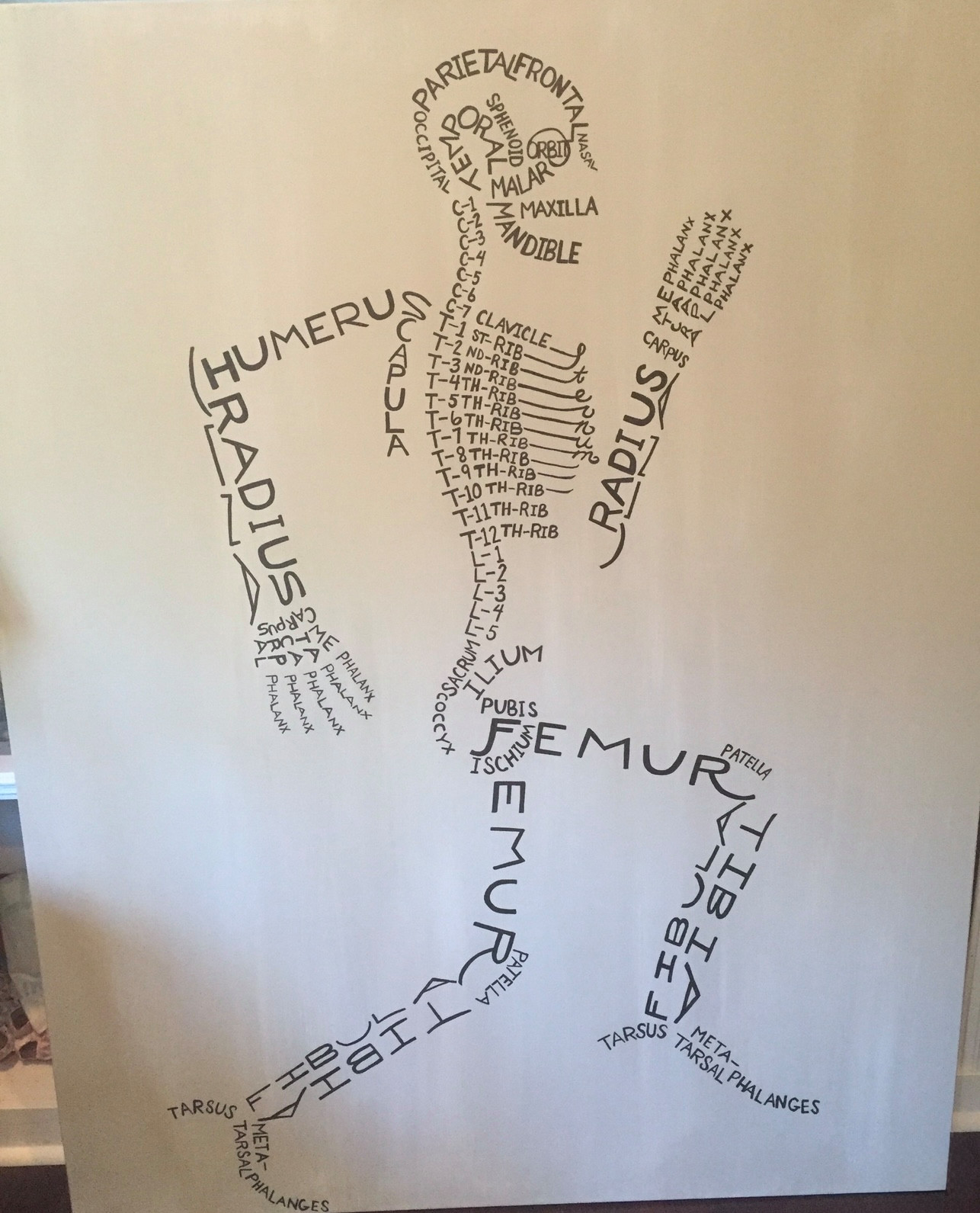 Chiropractor Canvas