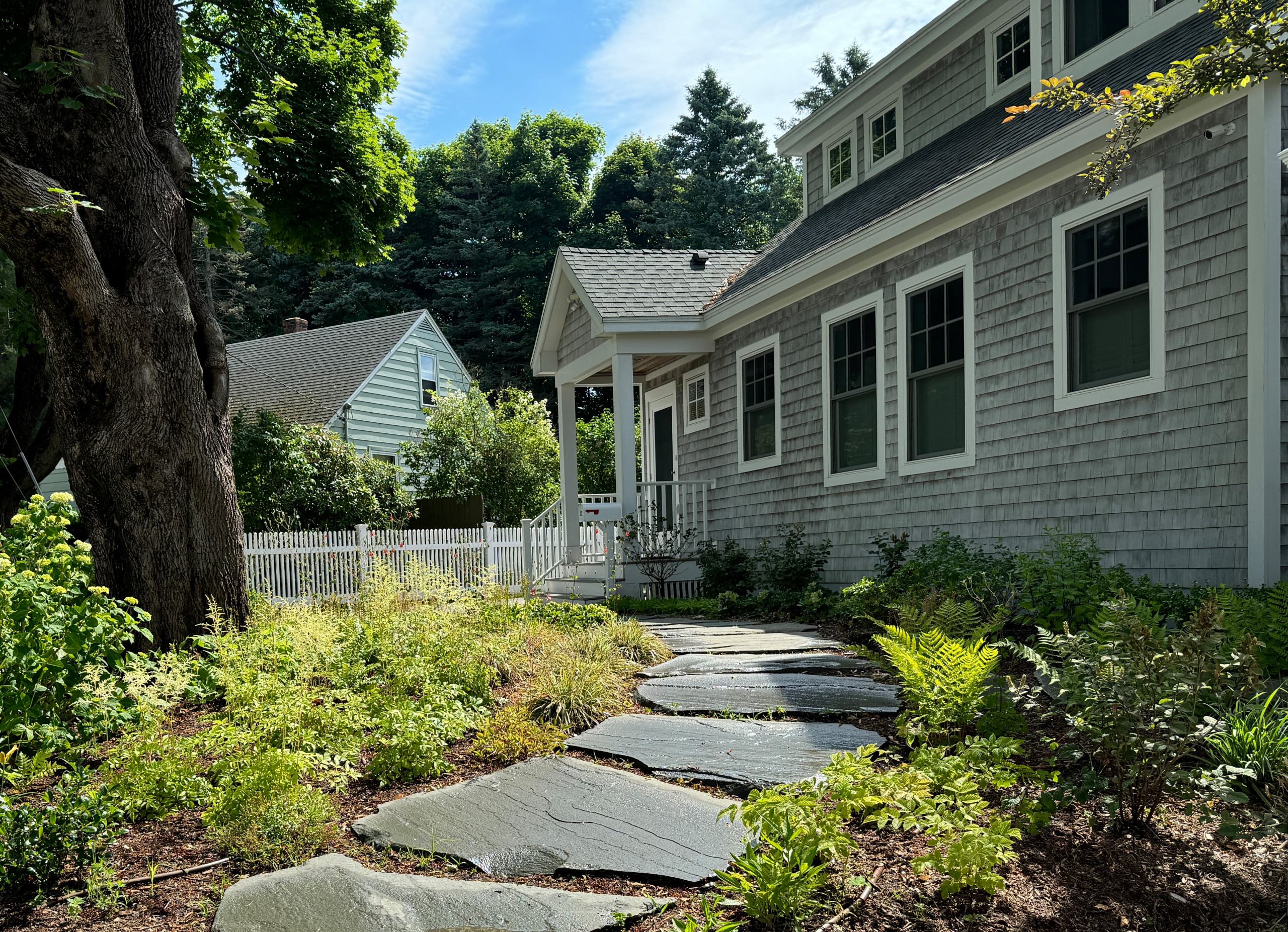 Cape Elizabeth Native Plants