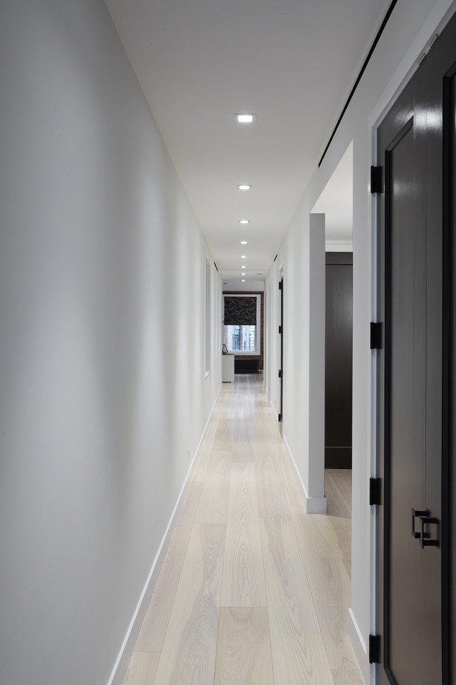 Photo of a mid-sized modern hallway in New York with white walls, light hardwood floors and beige floor.