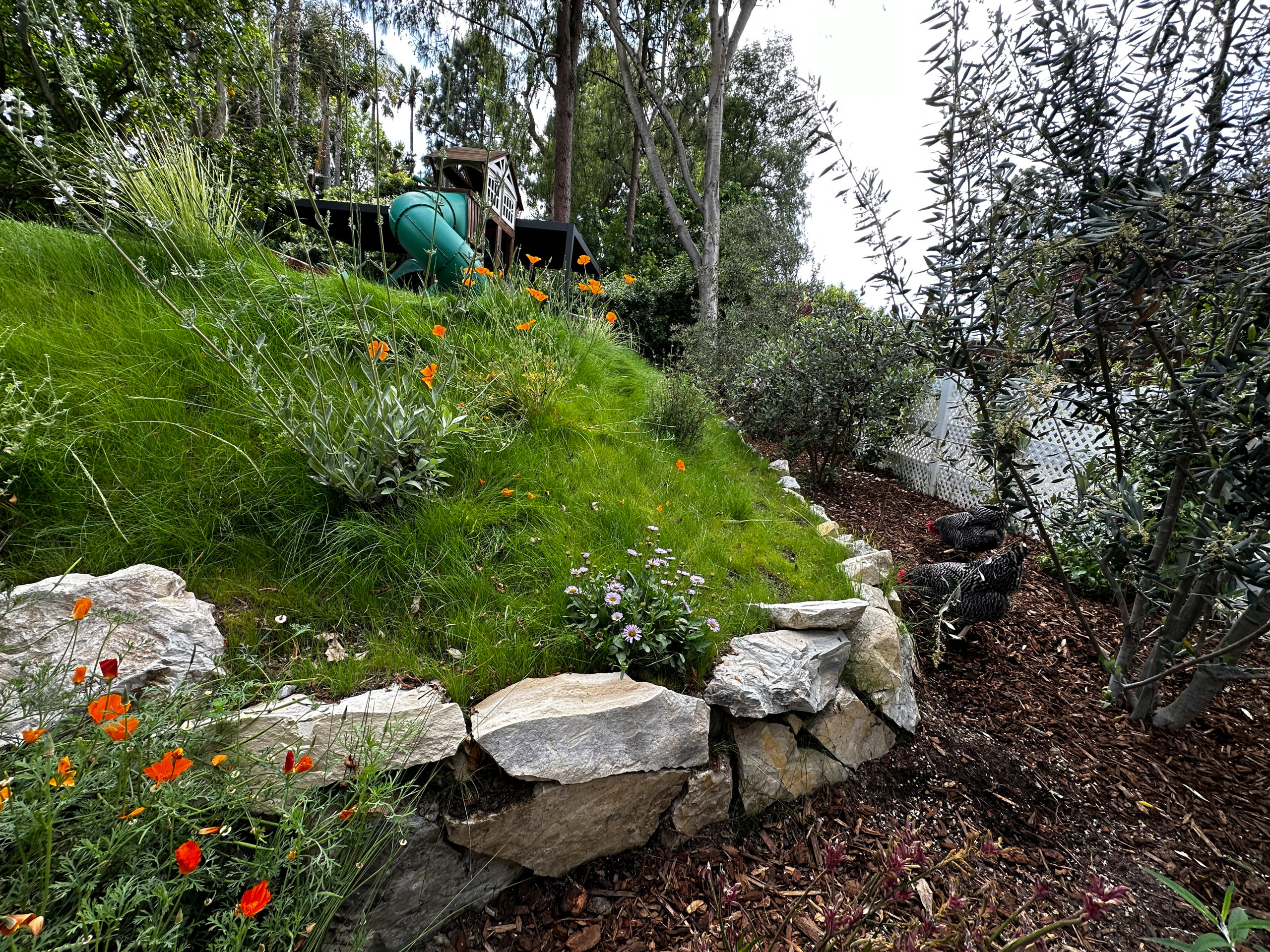 Childhood Oasis