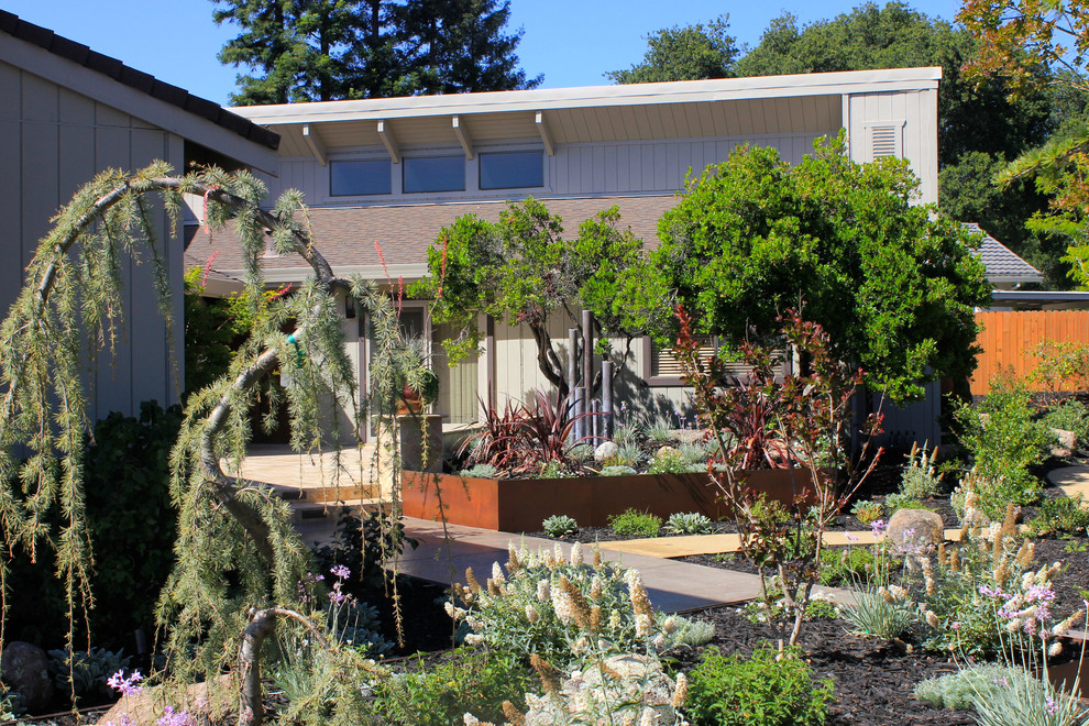 Design ideas for a contemporary garden in Sacramento.
