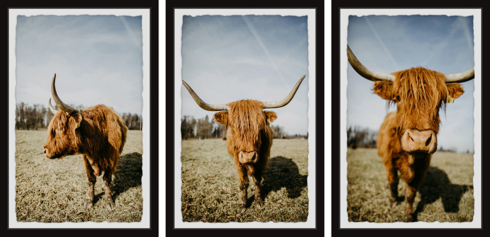 Sweeping Horns Triptych, Set of 3, 12x18 Panels