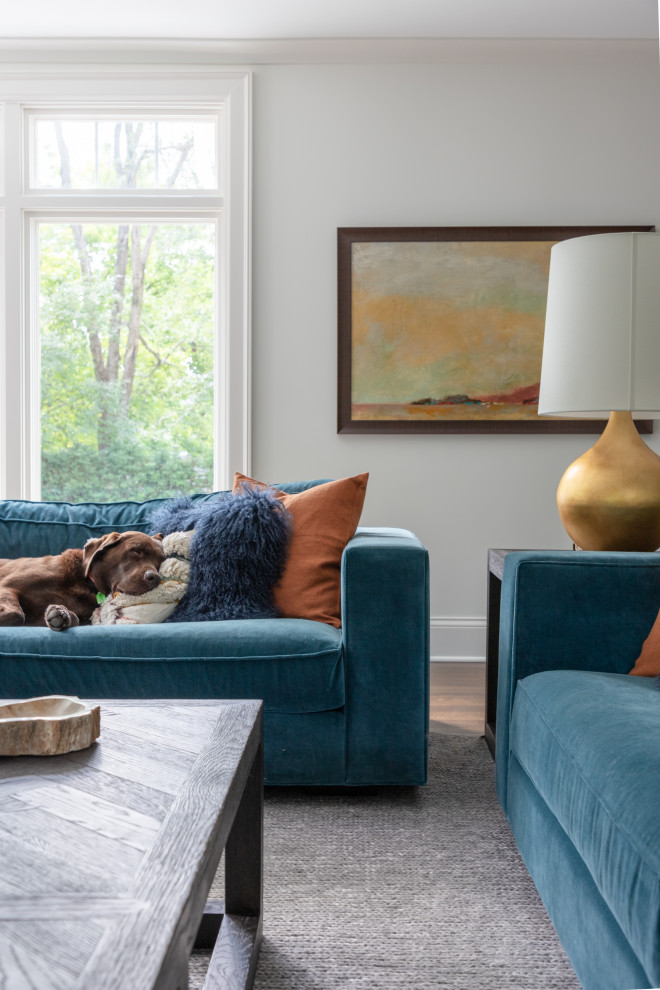 Transitional home design photo in Indianapolis