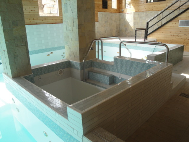 Pool - transitional pool idea in Chicago