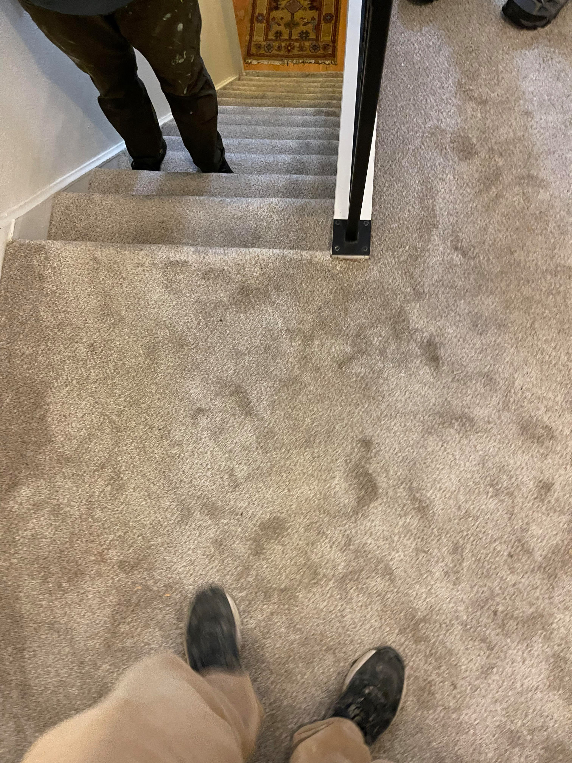 Seattle Home Renovation