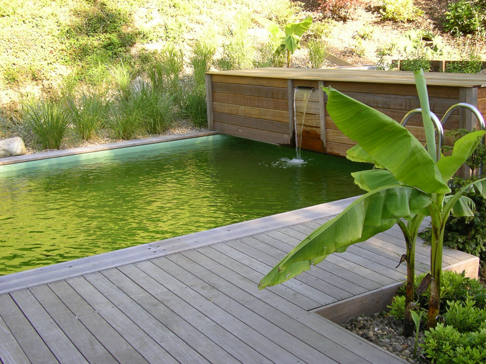 Piscine naturelle