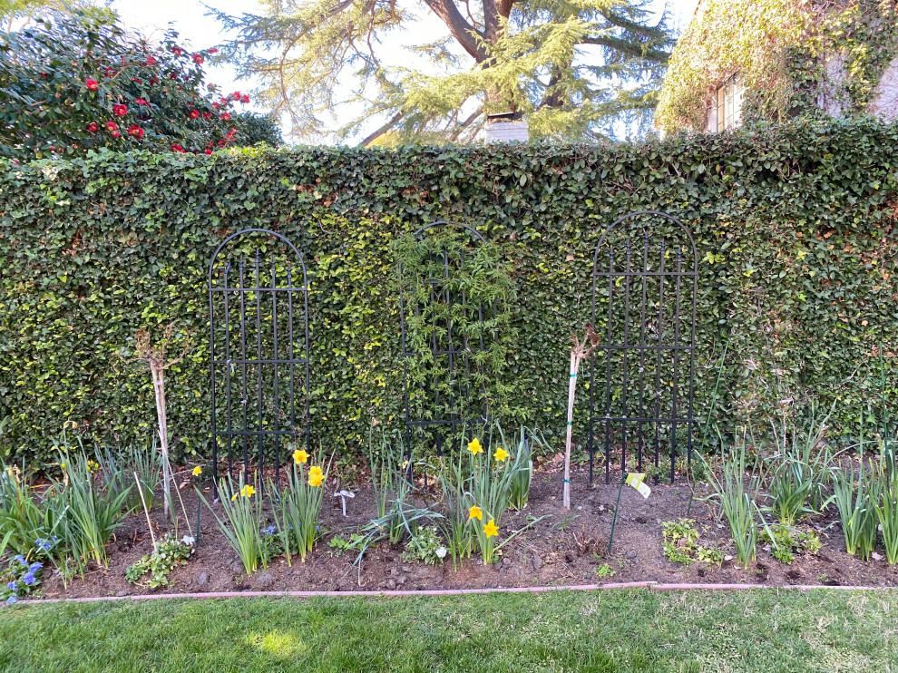 Ejemplo de acceso privado clásico renovado de tamaño medio en patio delantero con parterre de flores y exposición total al sol