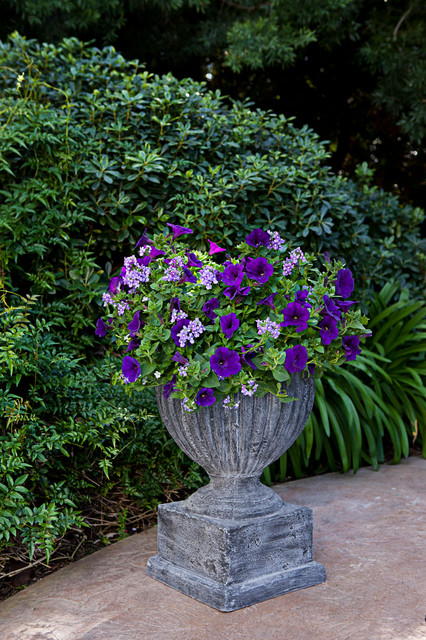 Watermelon Urn american-traditional-exterior