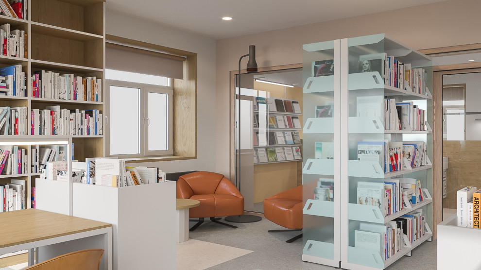 Дизайн-проект Модельной библиотеки в с.Кижинга (Республика Бурятия)