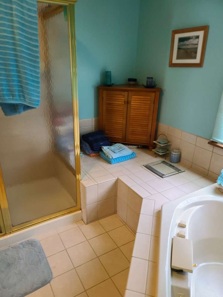 Ann Arbor - Spa Retreat Master Bathroom & Accessible Shower