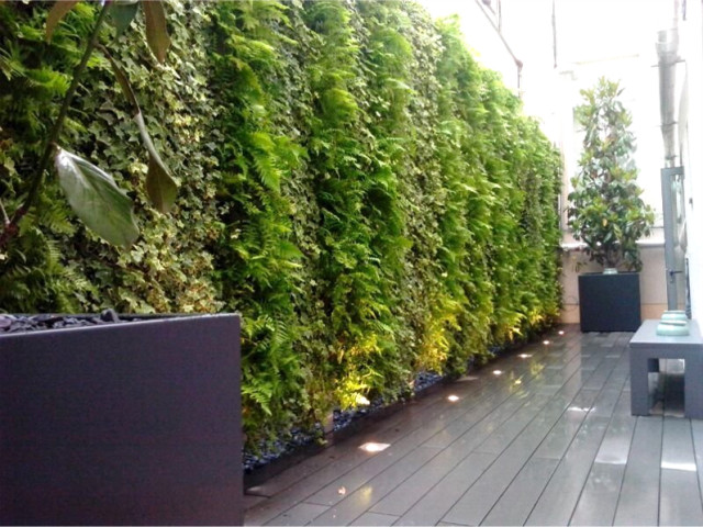Terraza jard&iacute;n contemporary-garden