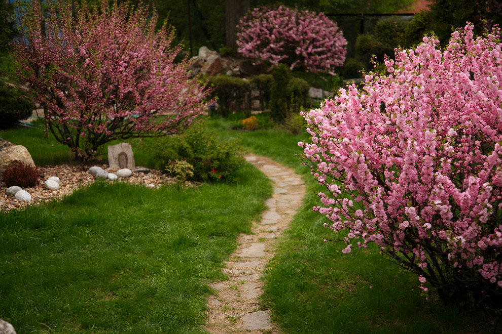 Ландшафтный дизайн