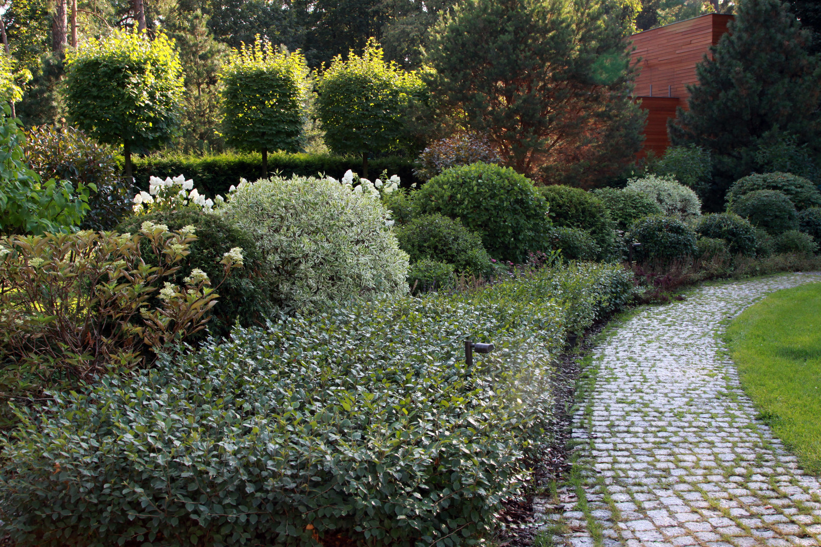 Структурный сад в парадной зоне