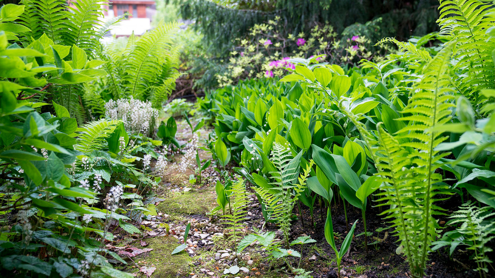 Сад с японским характером в КП  "Ландшафт", Усово 2010 г