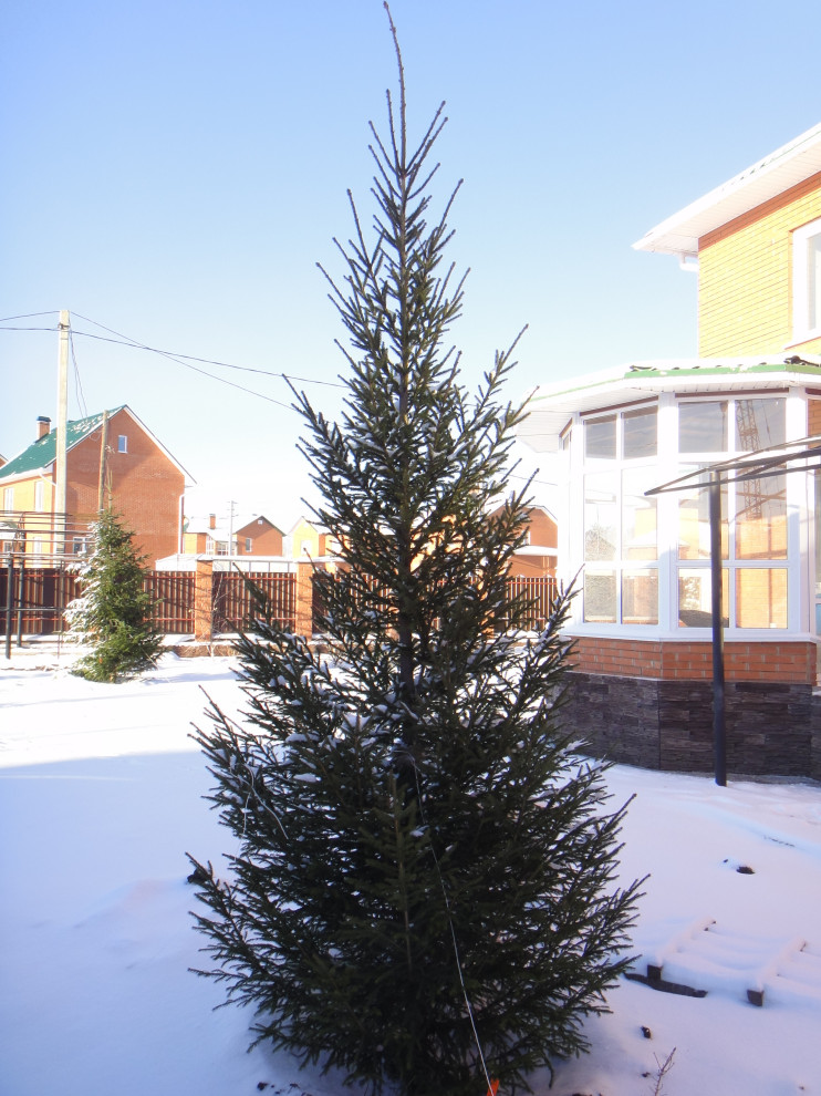 Ландшафтные работы и озеленение участка в Юрге