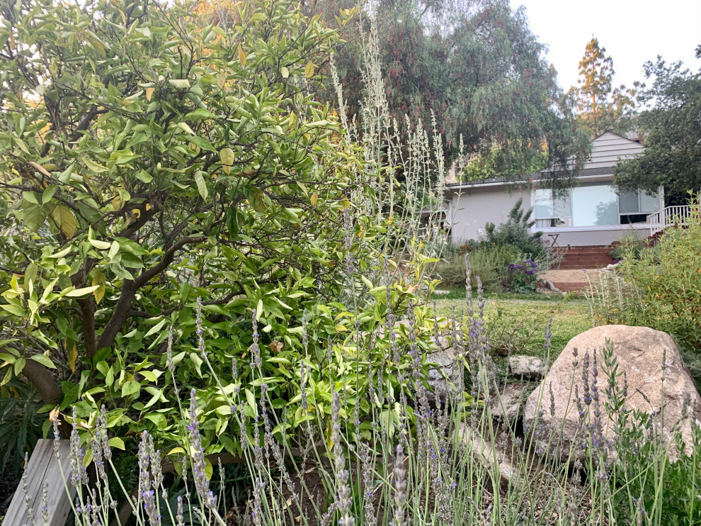 Photo of a large scandinavian drought-tolerant, rock and partial sun front yard decomposed granite landscaping in Los Angeles for summer.