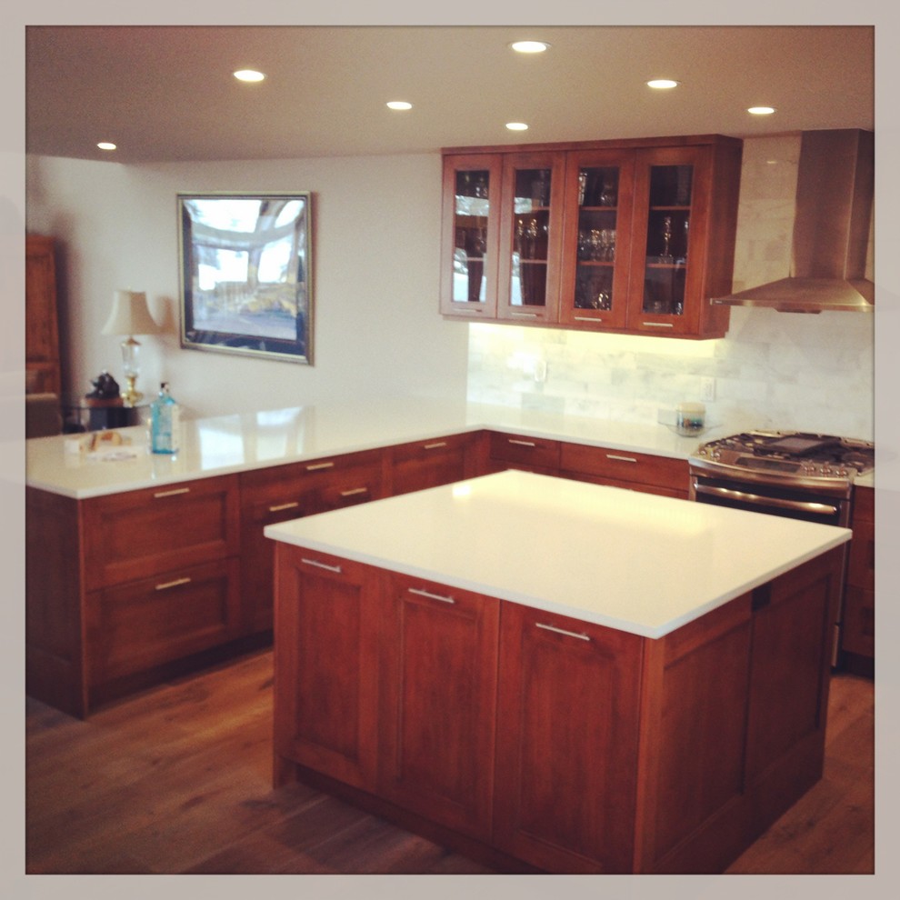 Example of a transitional kitchen design in Denver