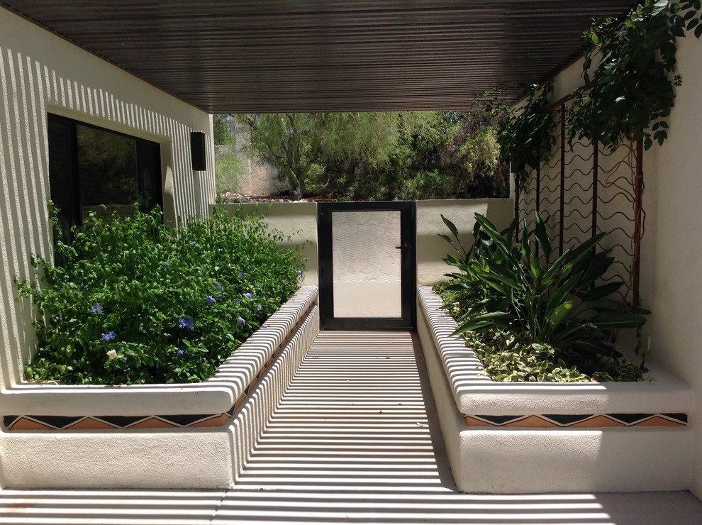 Design ideas for a small contemporary courtyard shaded garden in Phoenix with a vertical garden.