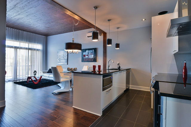 Kitchen remodeling contemporary-kitchen