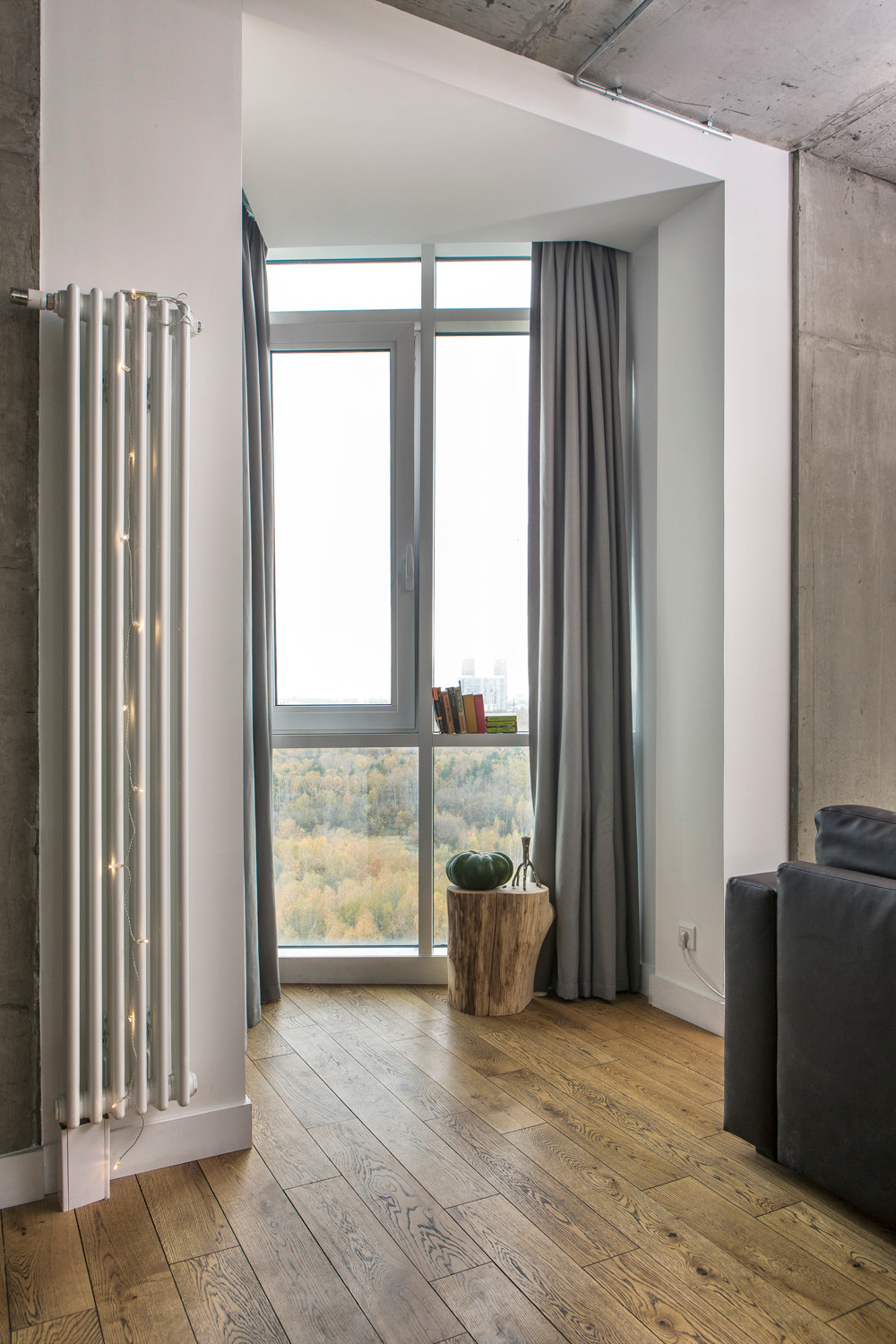 В гостях: Полированный бетон и панорамные виды на Лосиный остров