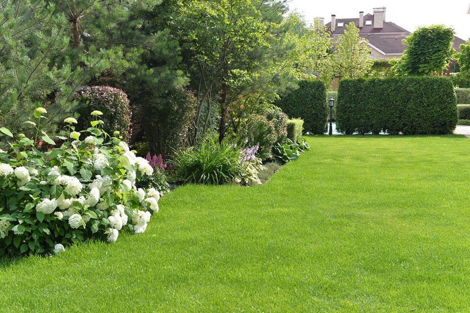 Озеленение