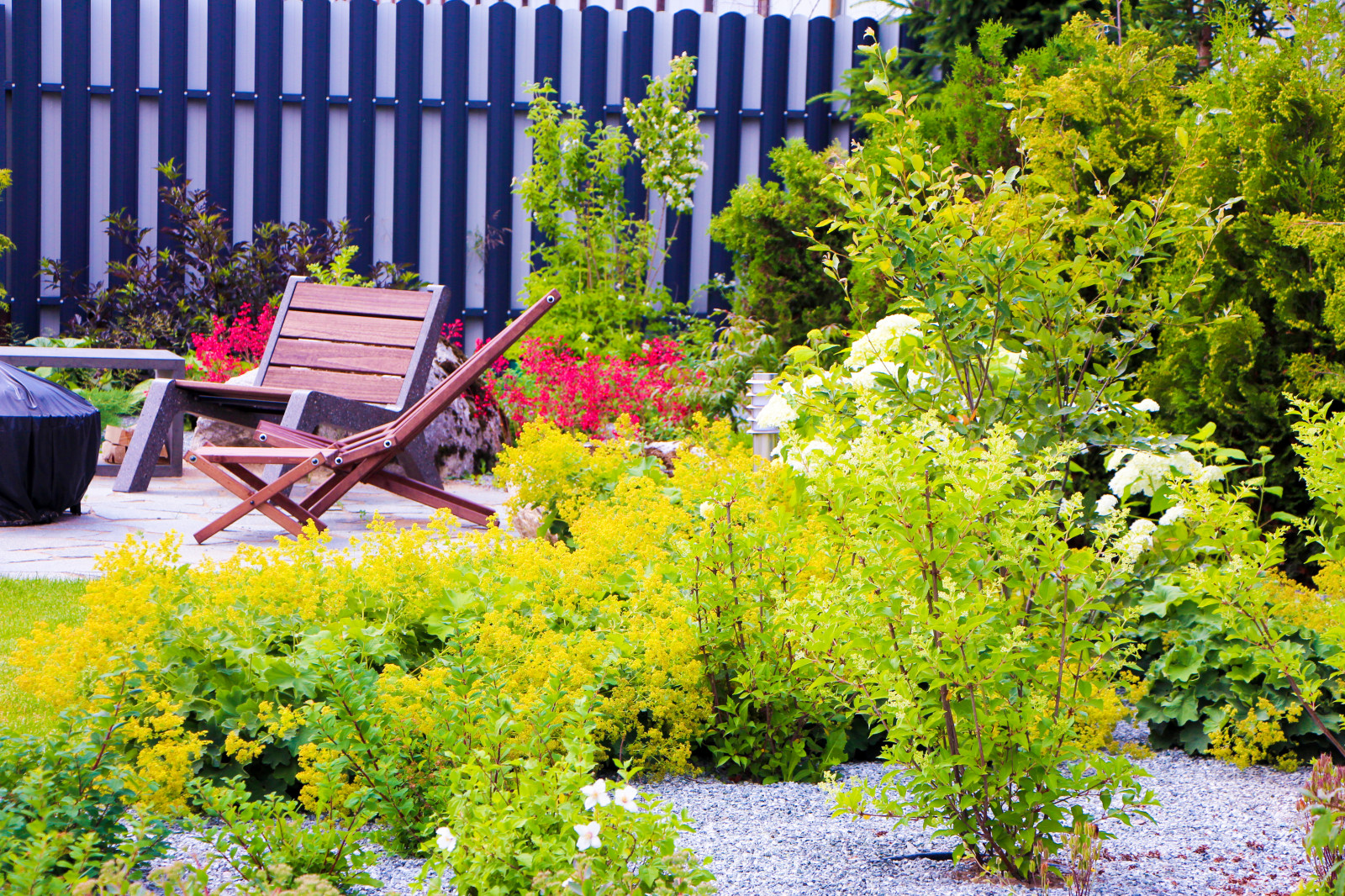 Лесной, 2022 г.