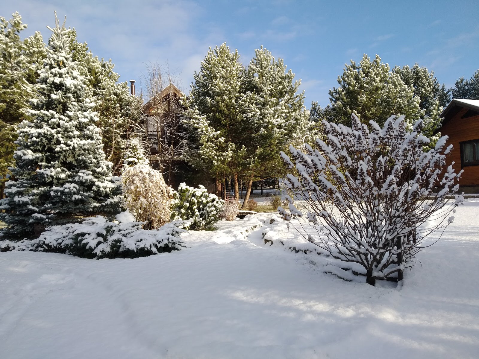 Зима пришла