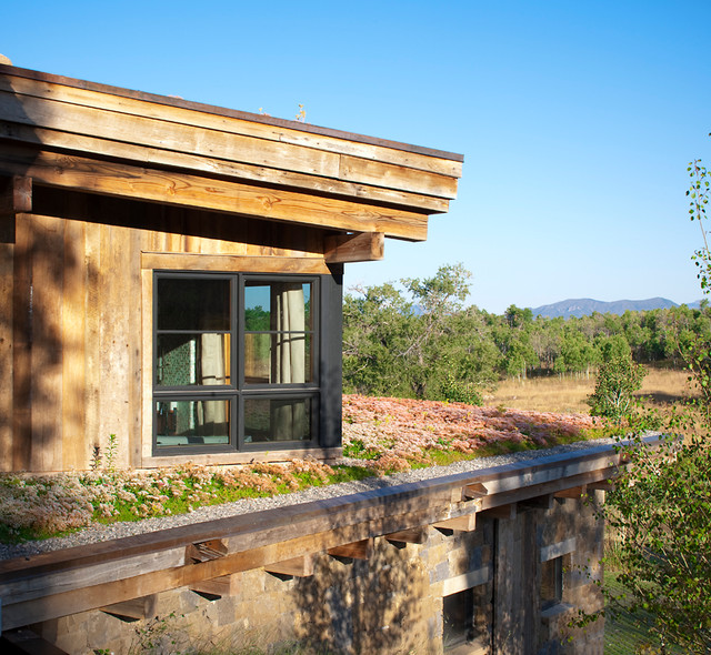 Sitting Quietly contemporary-exterior