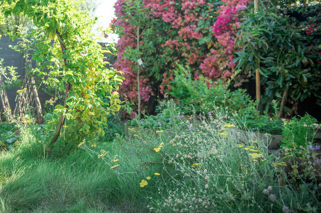 Berries, roses and pops of green in Burlingame, CA