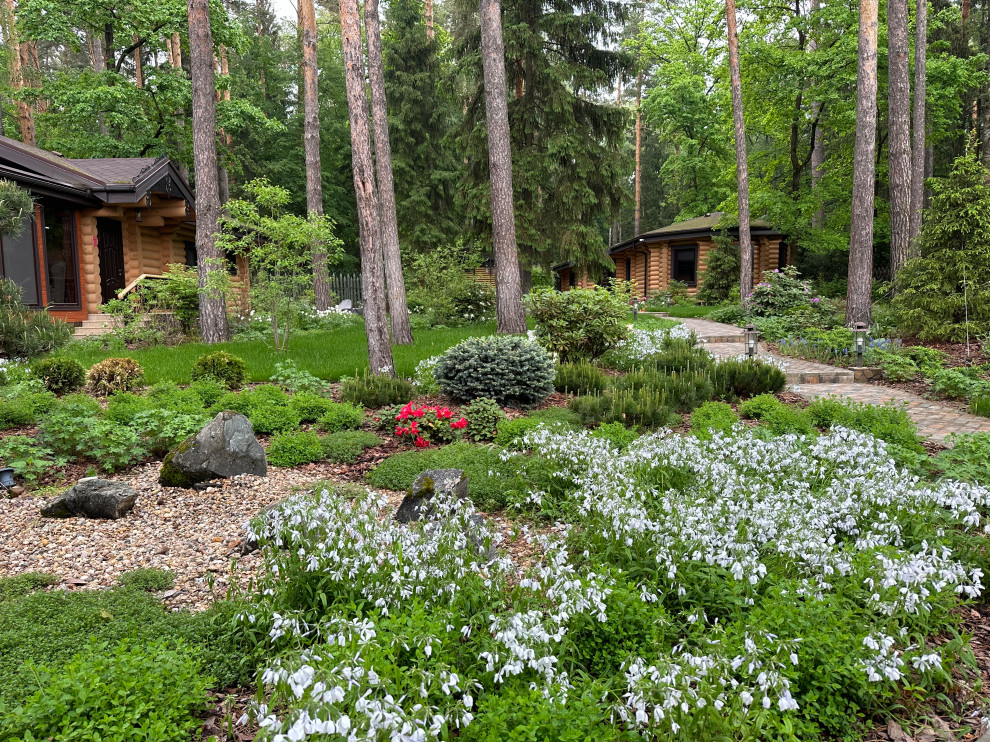 Заповедный Бор 2