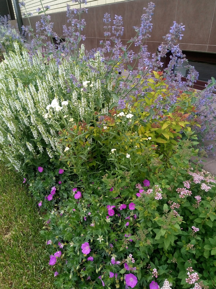 Зелёное удовольствие