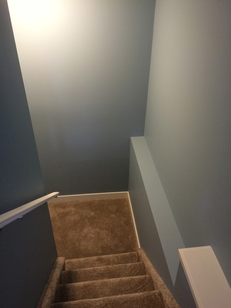 Mid-sized transitional carpeted l-shaped staircase photo in Calgary with carpeted risers