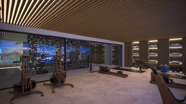 Blue Elements home-gym