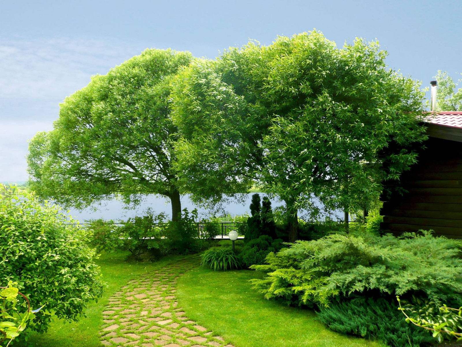 Игра на контрасте в ландшафтном проекте сада