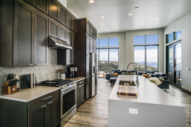 SCHWEITZER RESIDENCE contemporary-kitchen