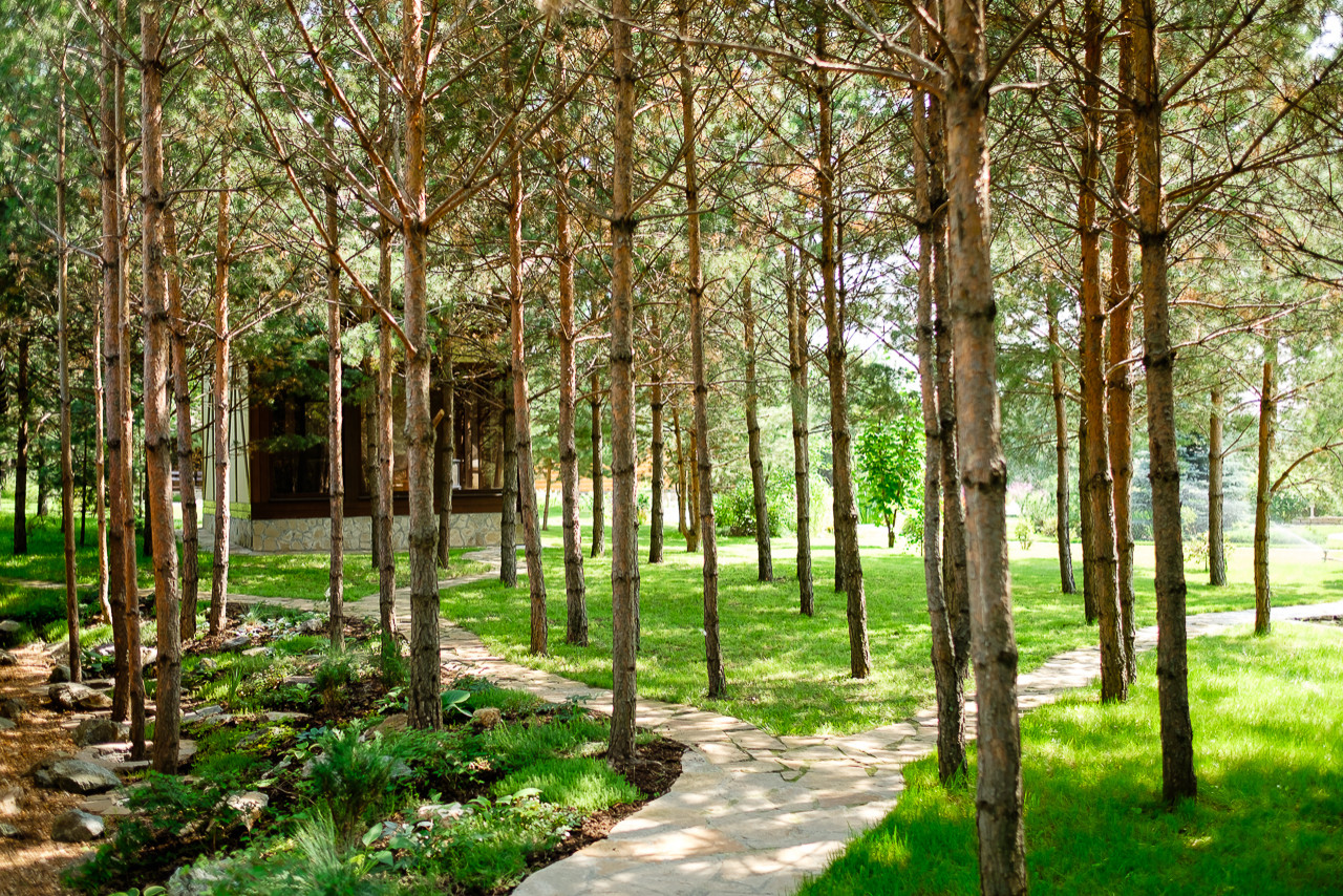 Простор и комфорт загородной жизни