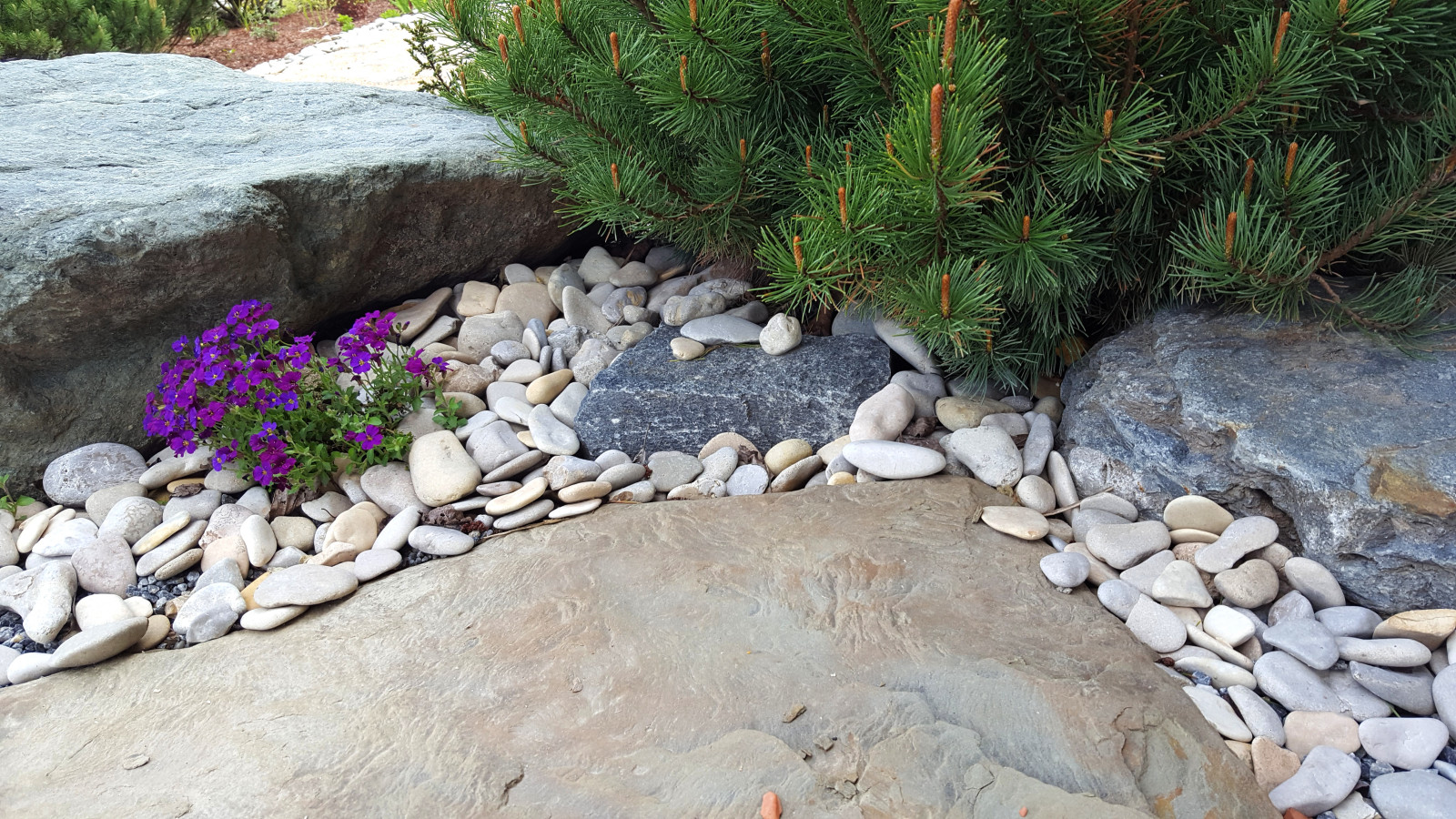 Цветники и композиции крупным планом