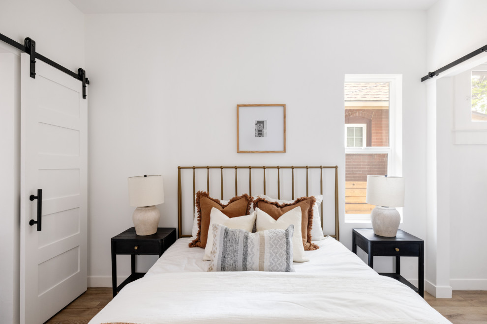 Platt Park Full Home Renovation