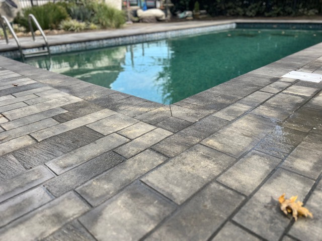 Custom Built Swimming Pool