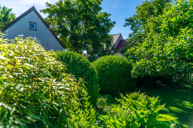 Garten 7 garden