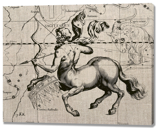 Sagittarius Zodiac Sign Gallery Wrapped Canvas