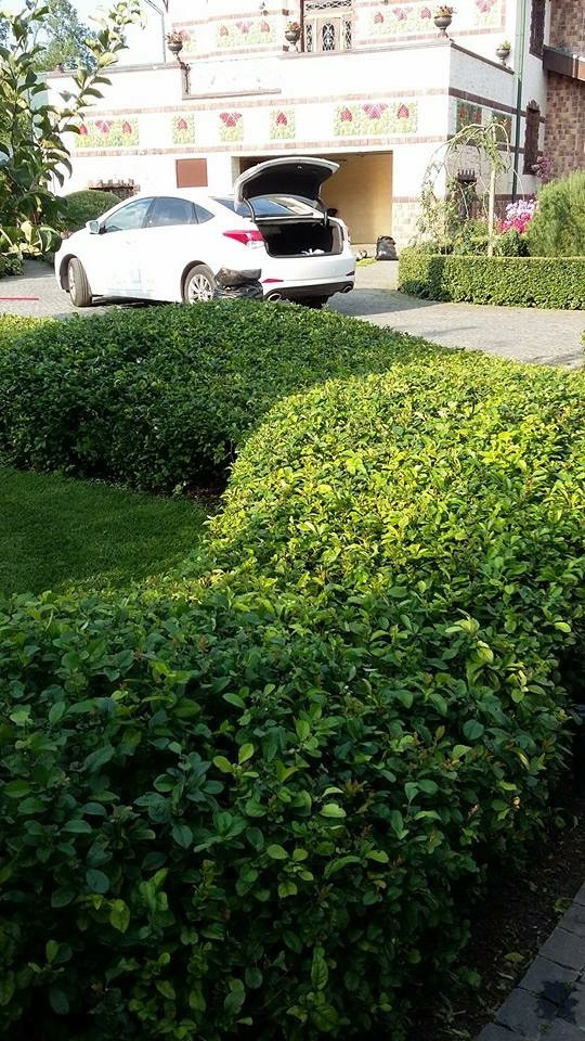 Сенькино московская обл