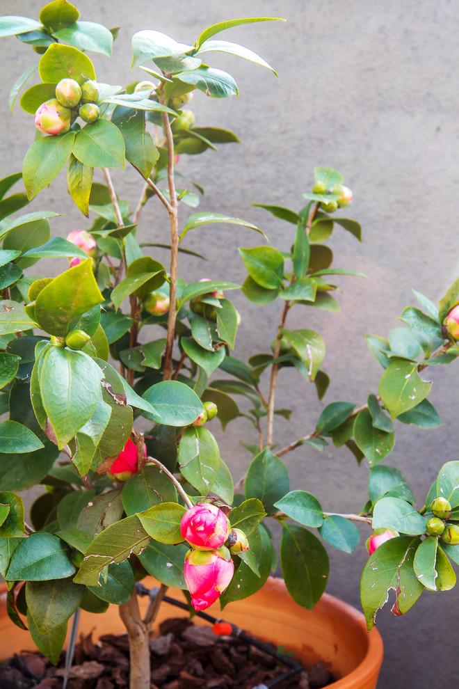 Стильные апартаменты на побережье Испании