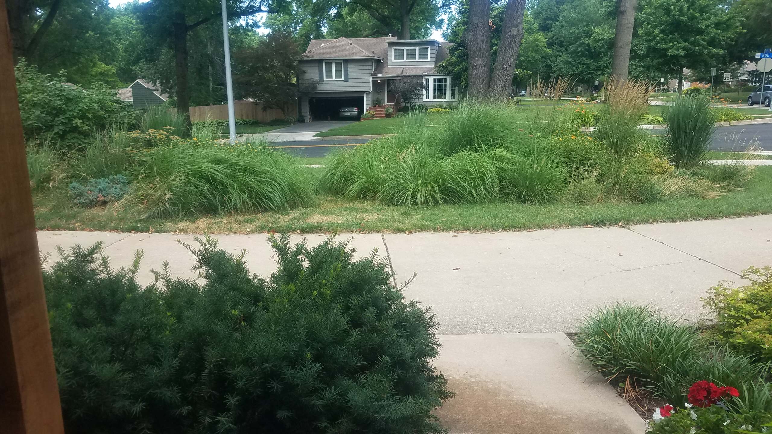 Prairie Village Prairie