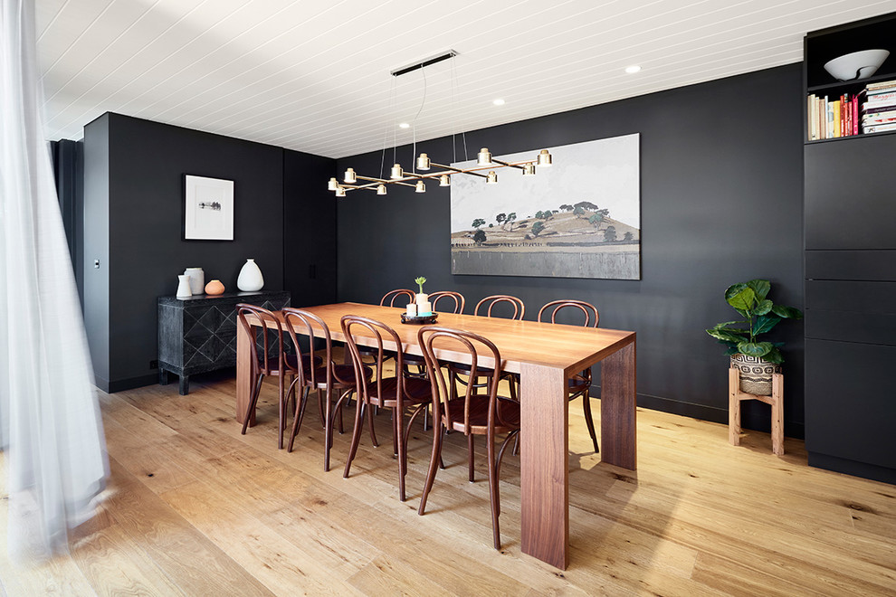 Mid-sized contemporary dining room in Melbourne with black walls and light hardwood floors.